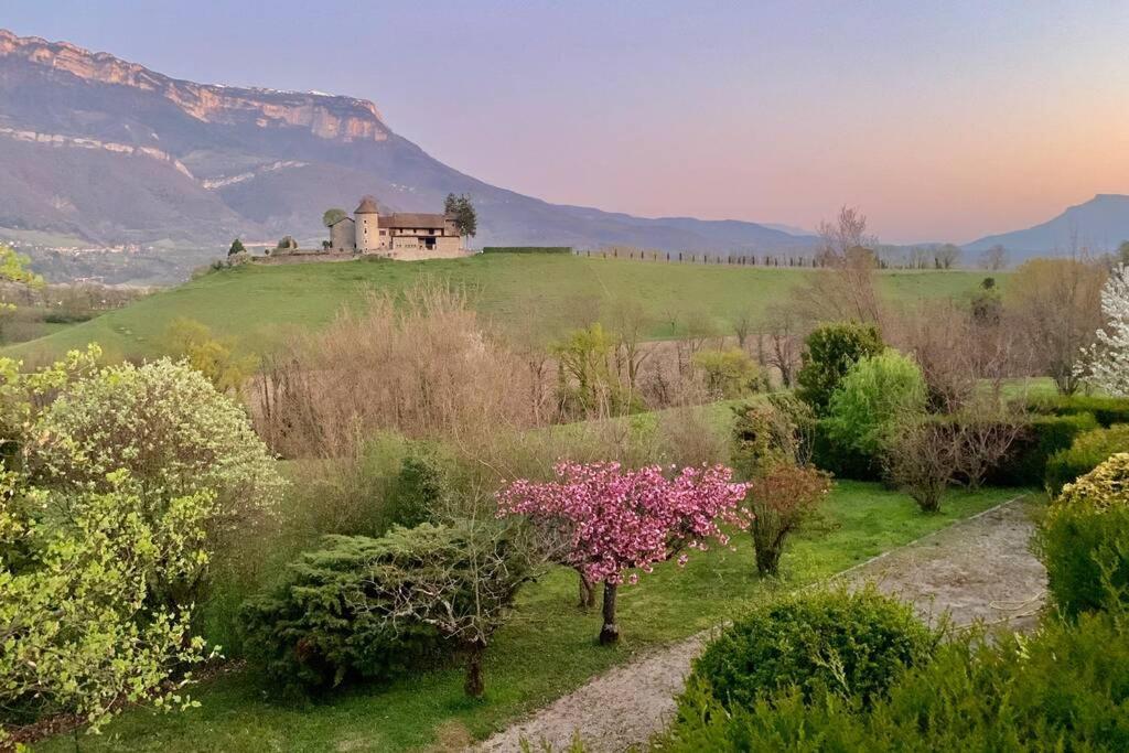 Au Calme Avec Vue Magnifique A Saint Maximin Apartment Exterior photo