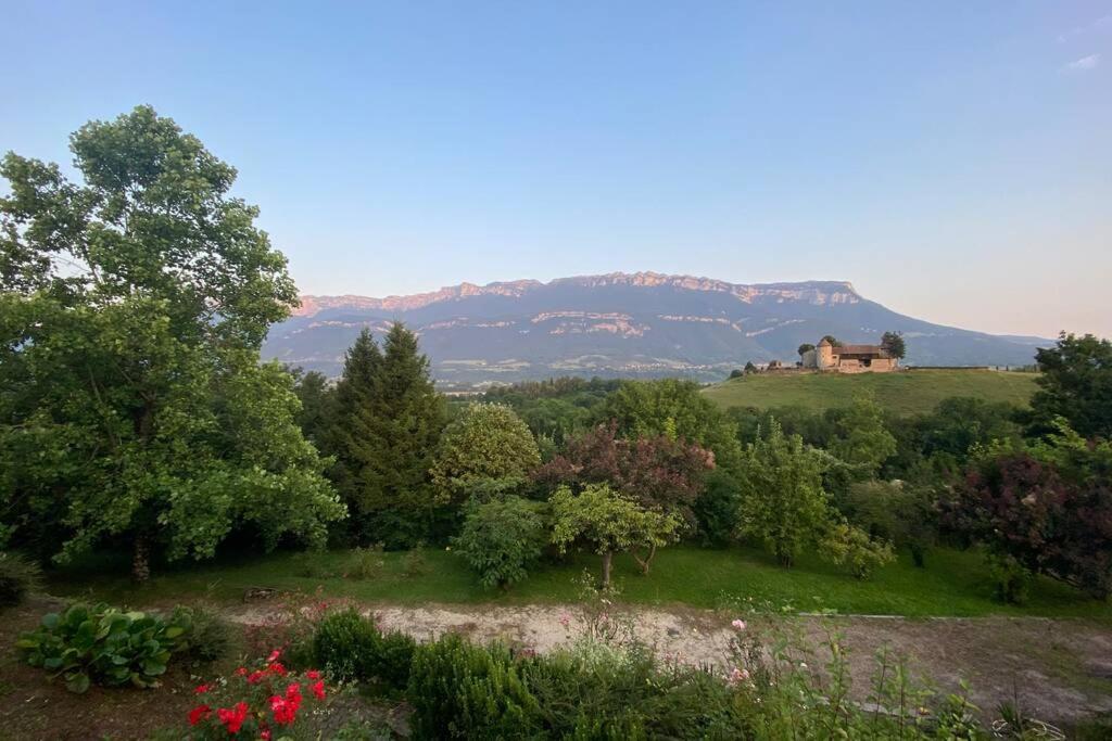 Au Calme Avec Vue Magnifique A Saint Maximin Apartment Exterior photo